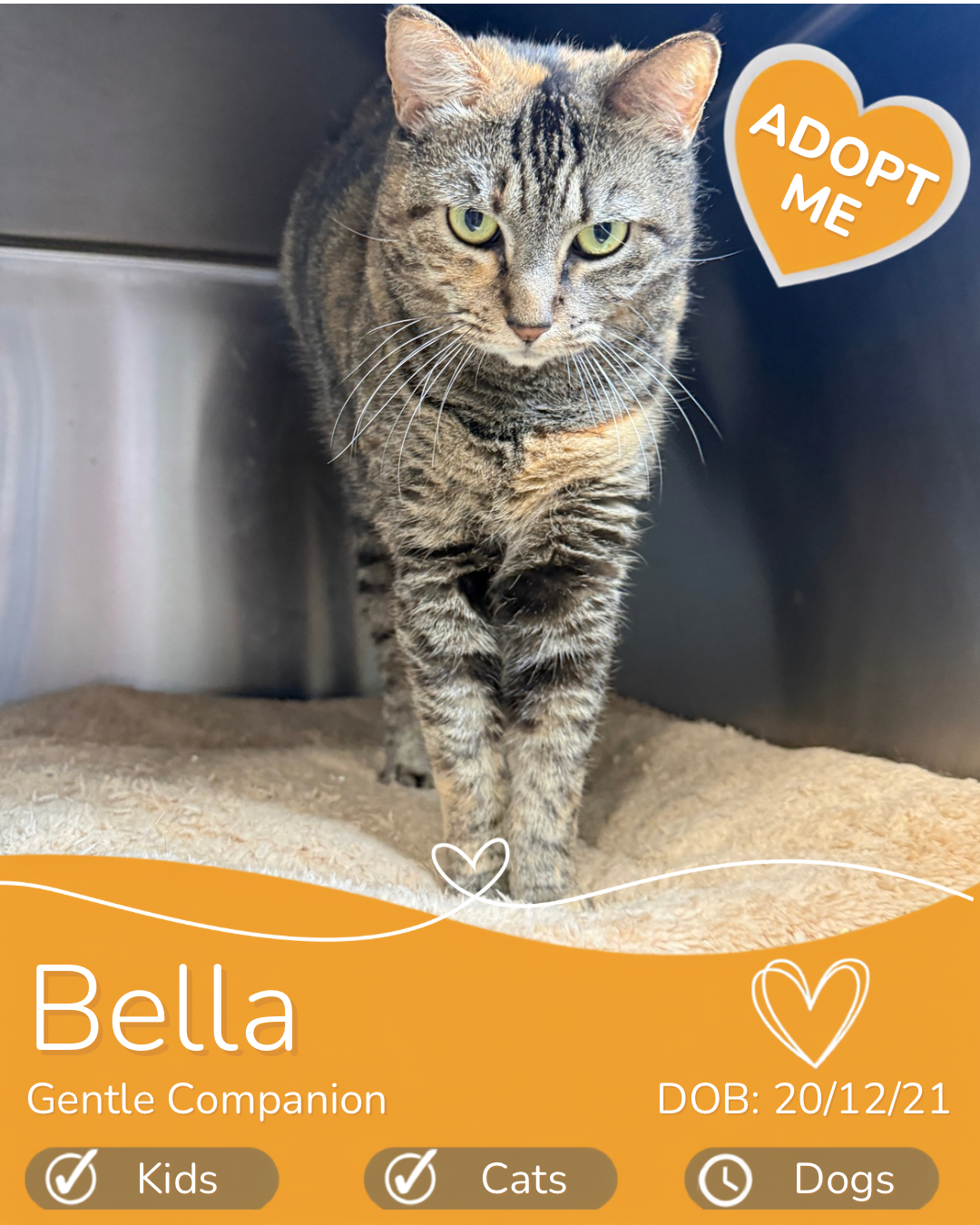 Bella