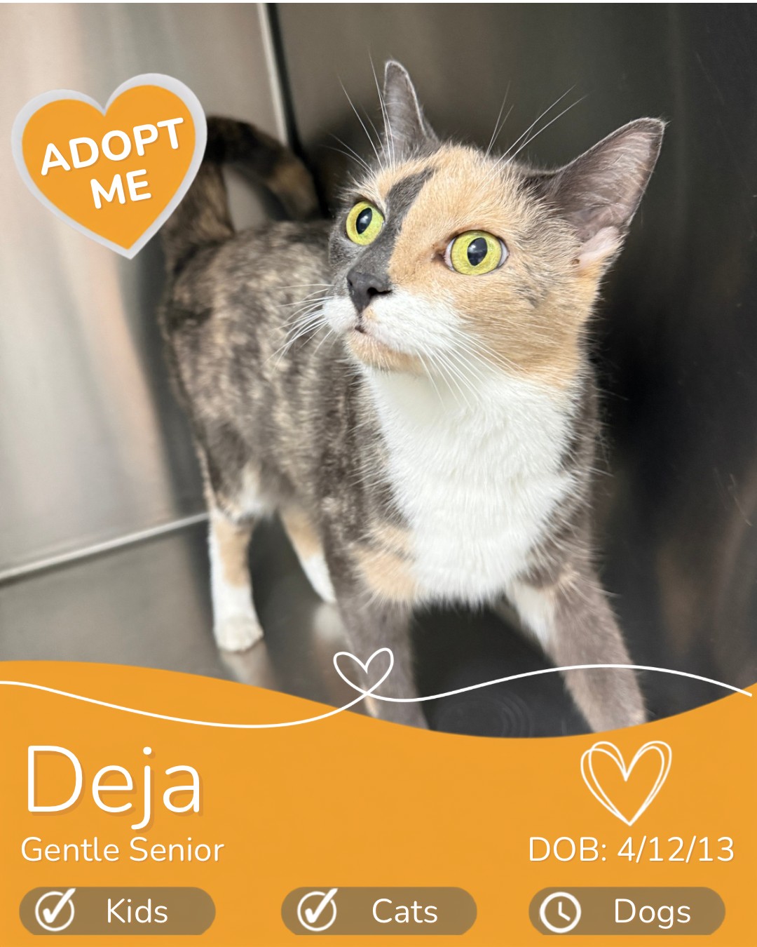 Deja