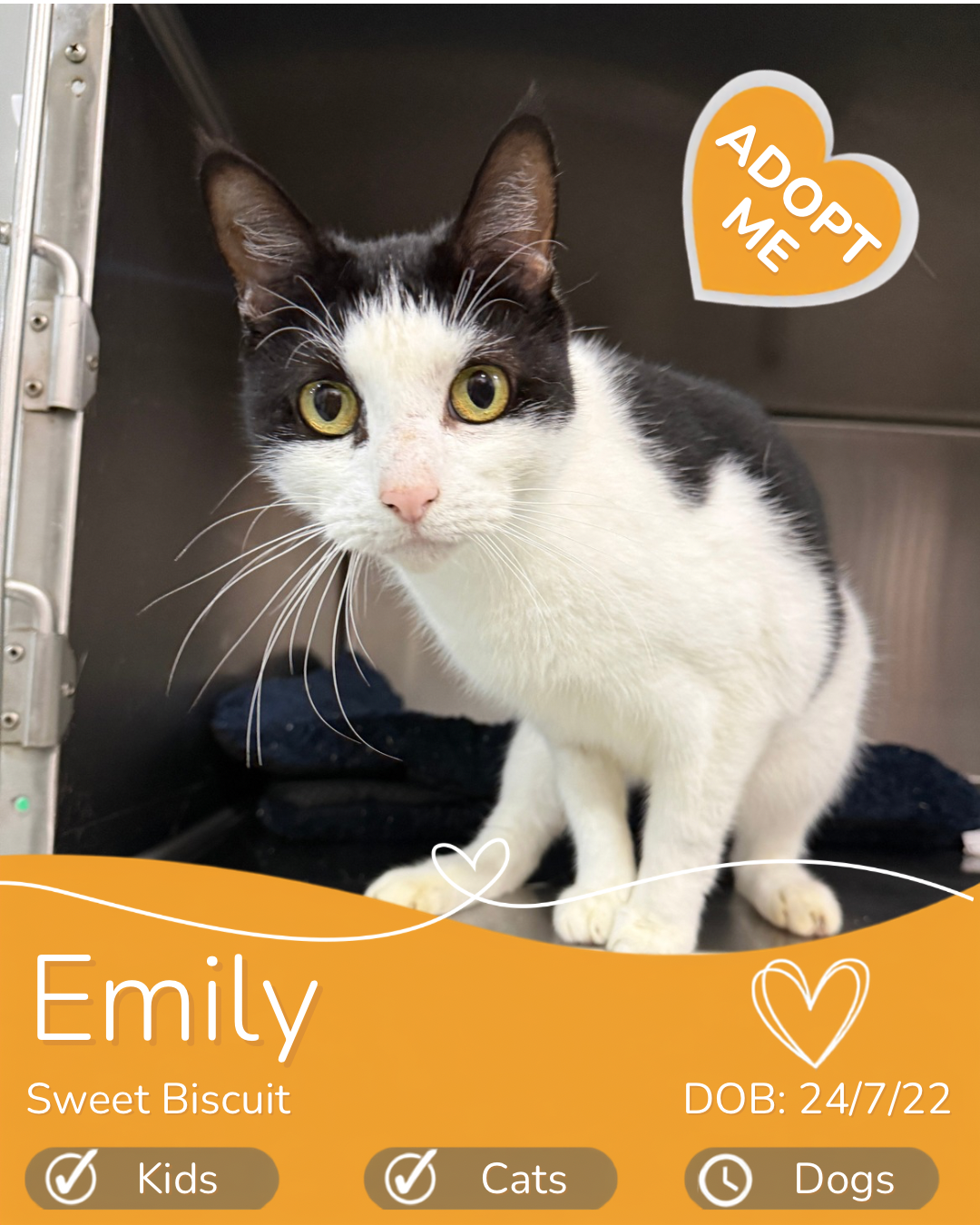 Emily