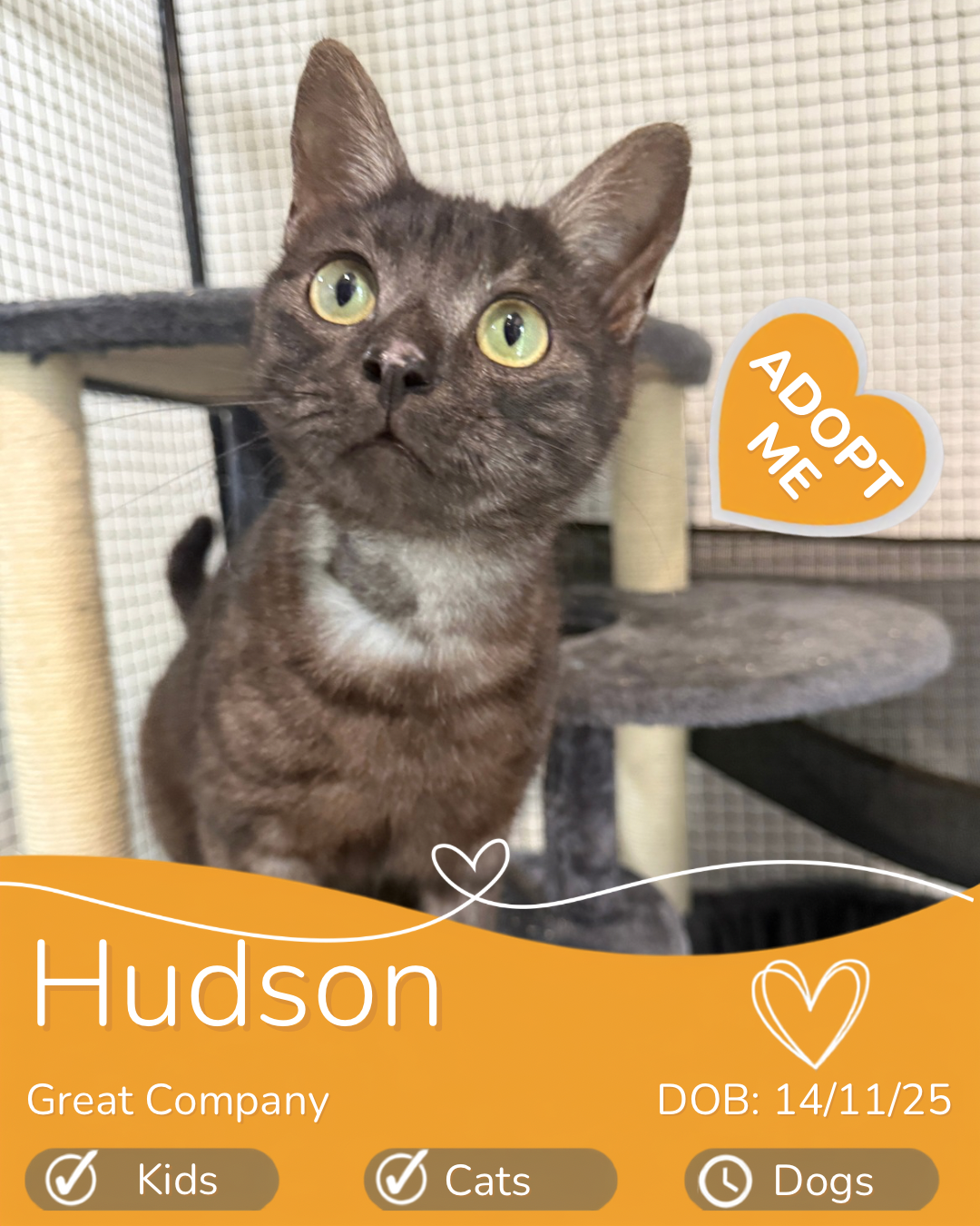 Hudson