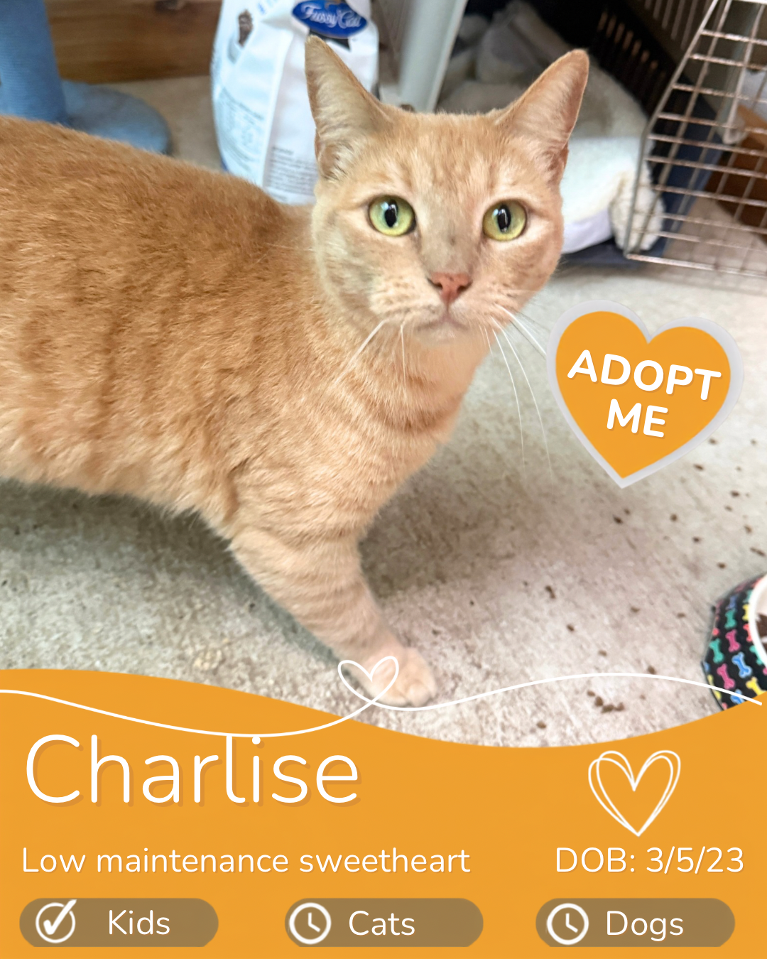 Charlise