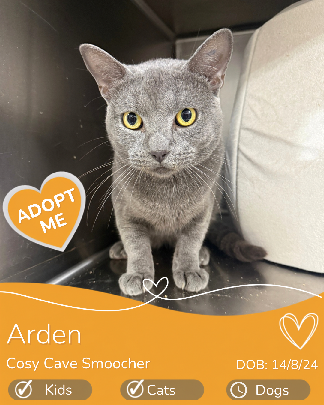 Arden