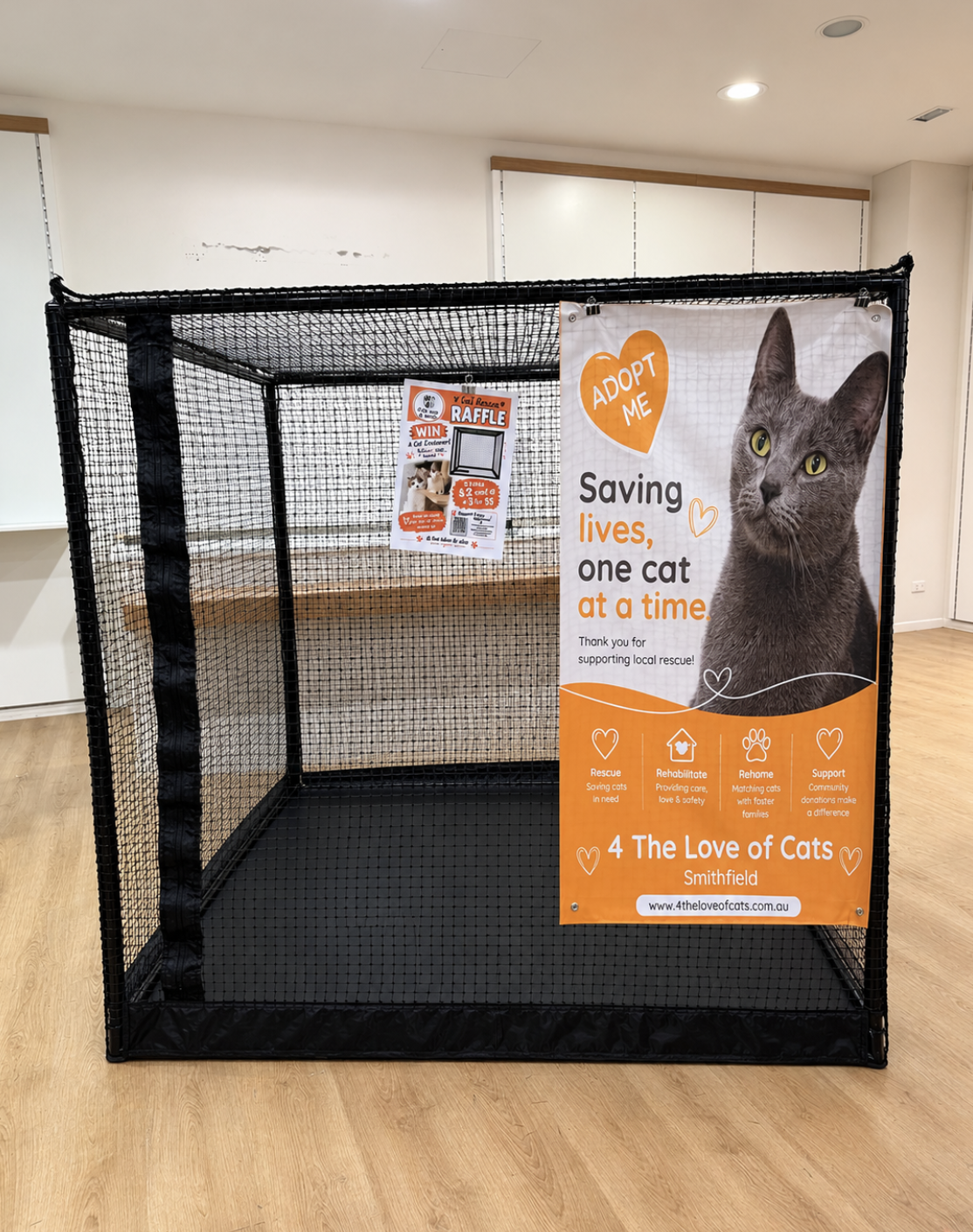 WIN A CAT ENCLOSURE CAIRNS, RESCUE CATS, RESCUE KITTENS, ADOPT DONT SHOP