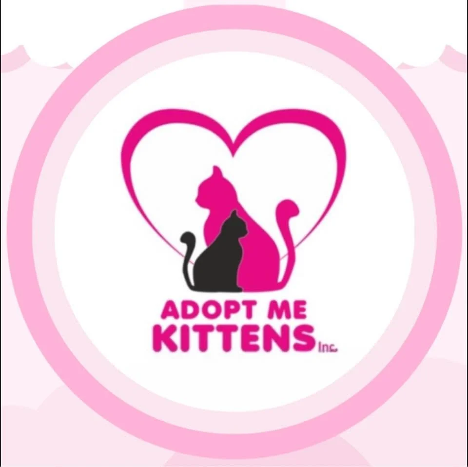 Animal Rescues in Cairns