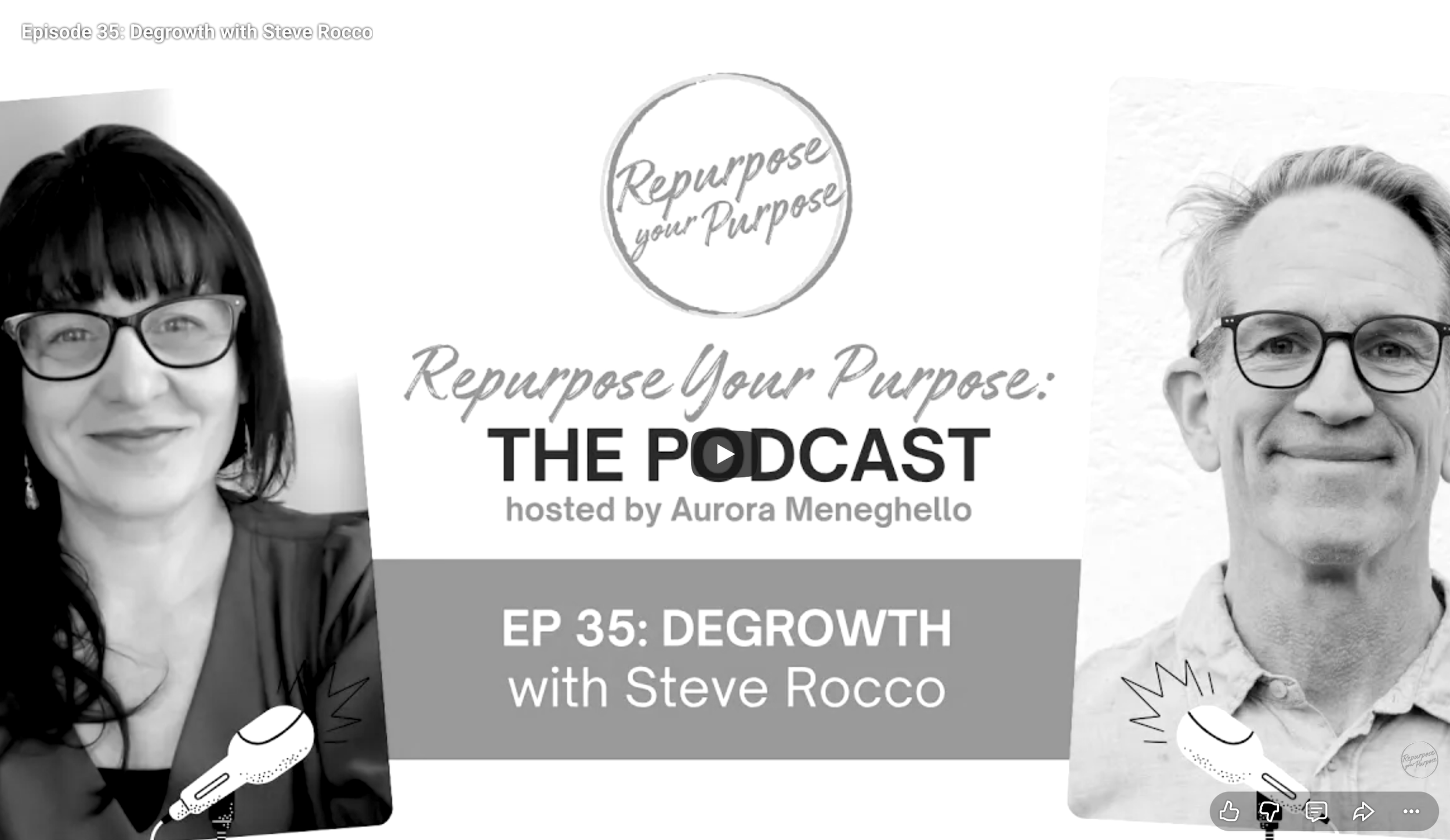 Repurpose Your Purpose: Podcast Interview with Steve