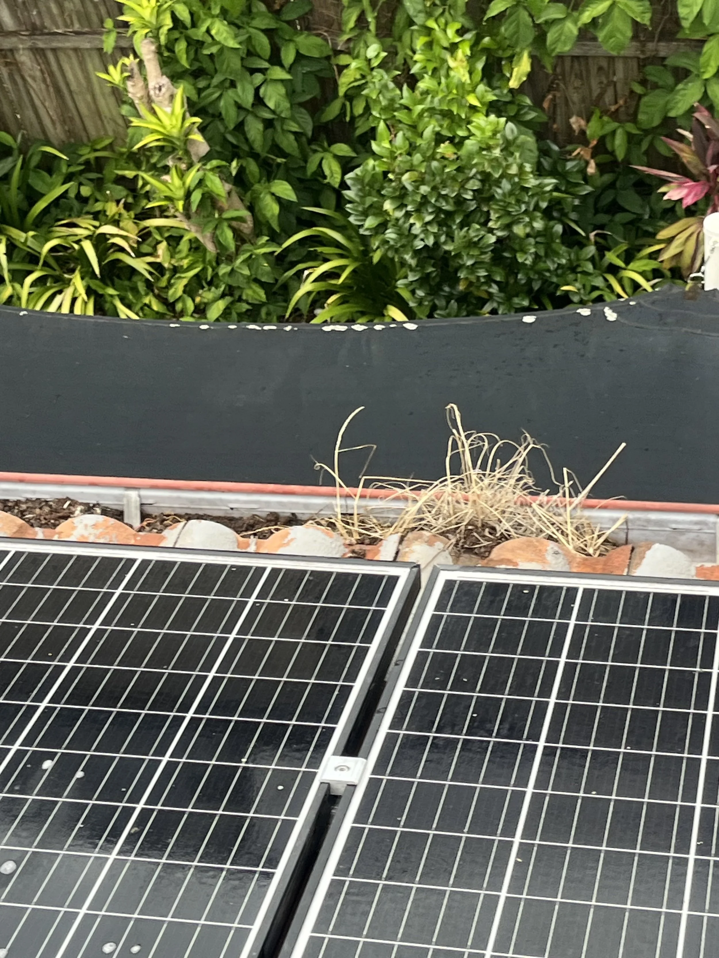 Clogged gutter with debris before professional gutter cleaning service in Townsville