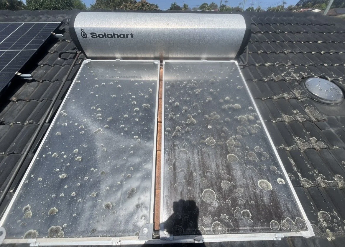 A photo before we cleaned the lichen off of some dirty solar panels in Kirwan