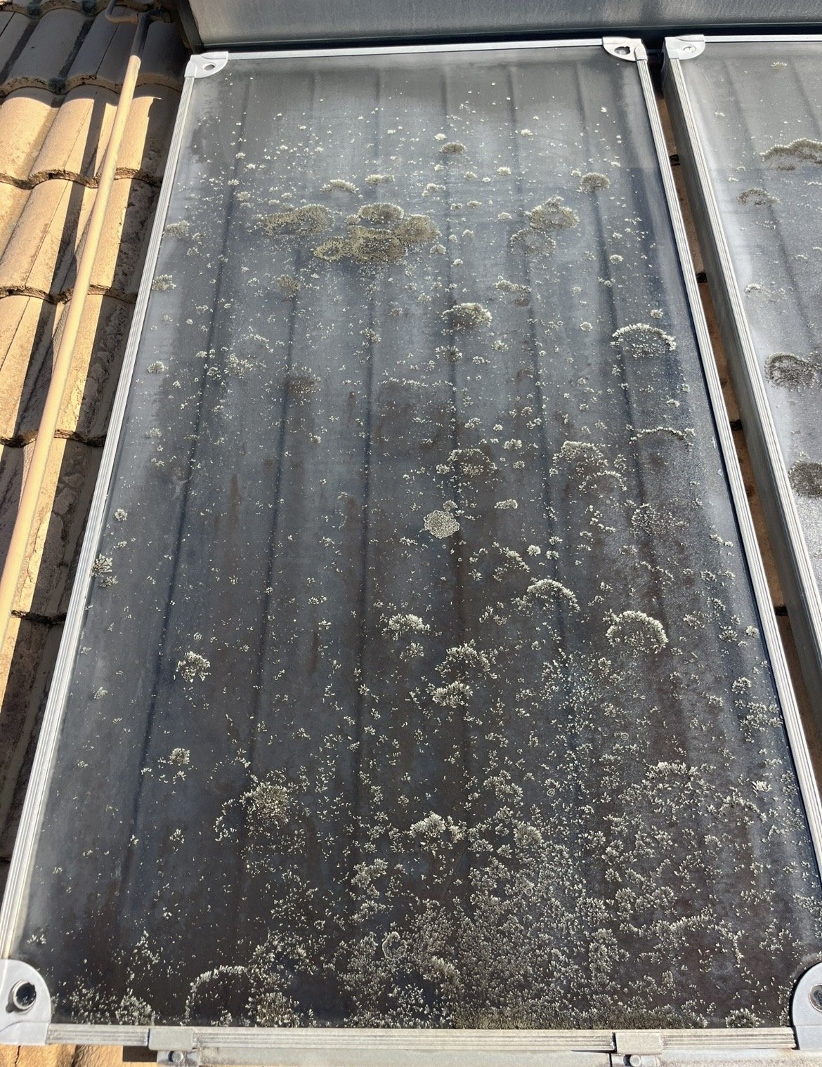 A solar system which is heavily infested with lichen