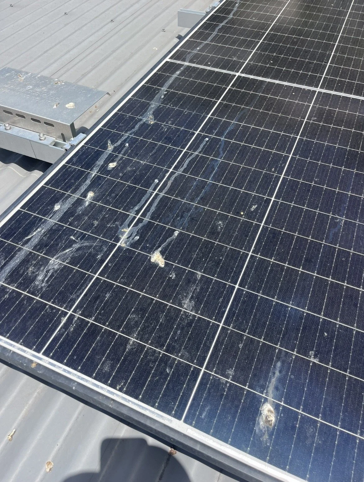 Solar panels with heavy bird droppings in Townsville