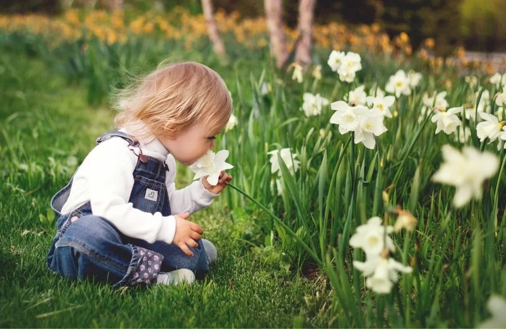 Spring Learning Babies 15 Spring Activities for Preschoolers & Kids (+ Free Nature Scavenger ...