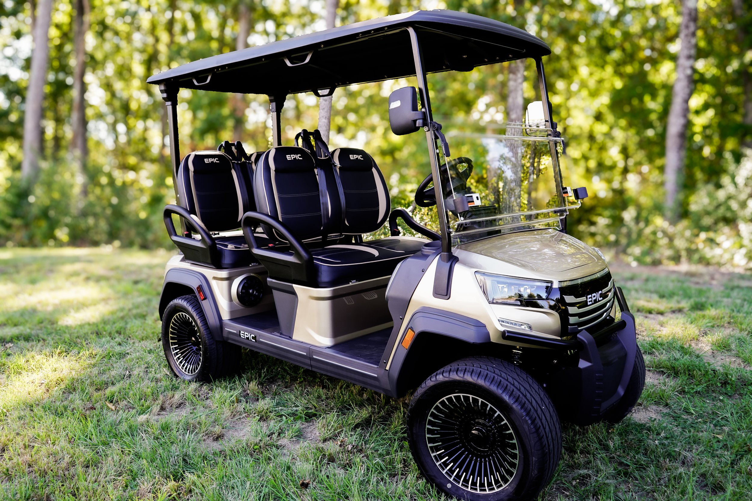 EPIC_E40FX_Golf_Carts(4).jpg