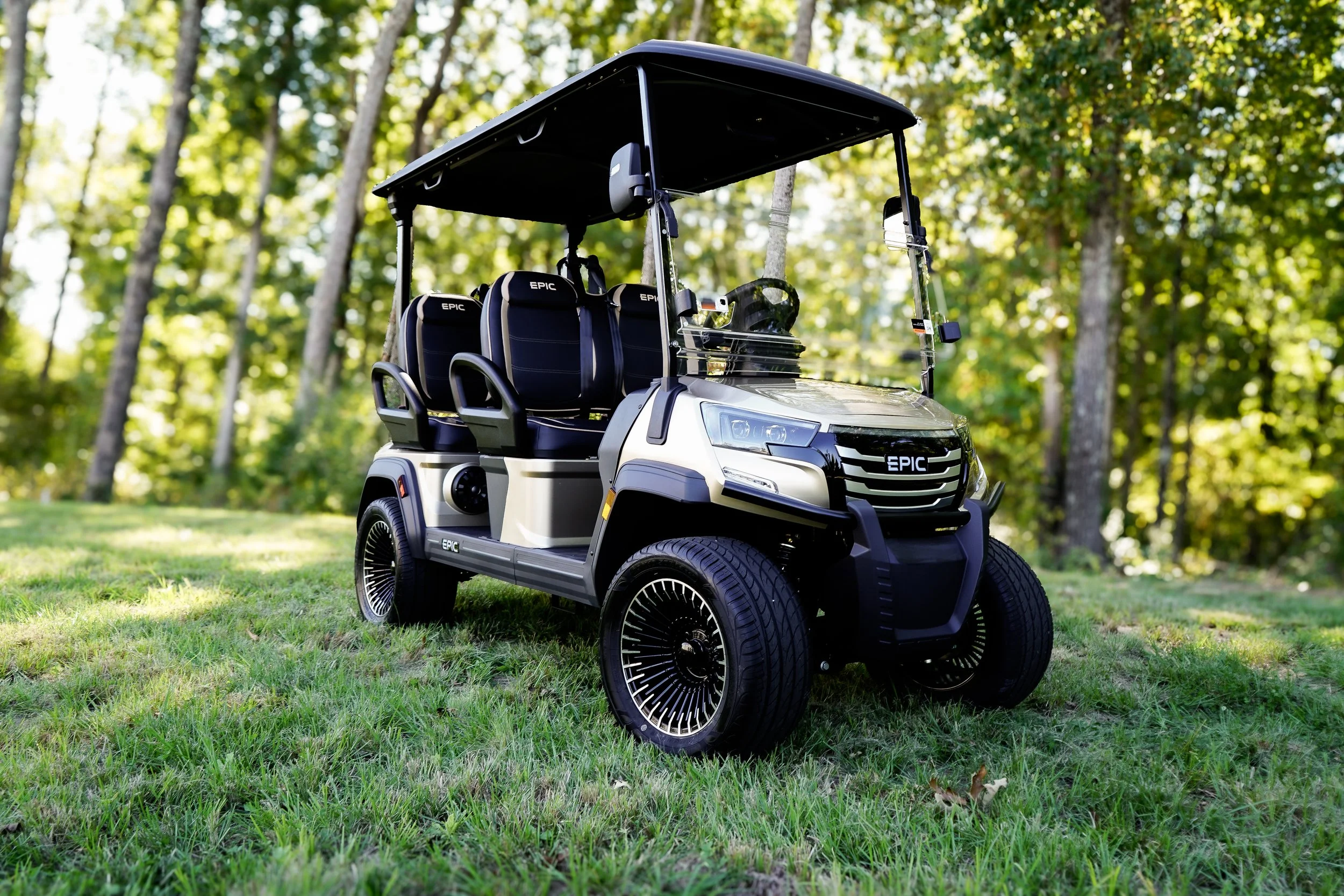 EPIC_E40FX_Golf_Carts(3).jpg