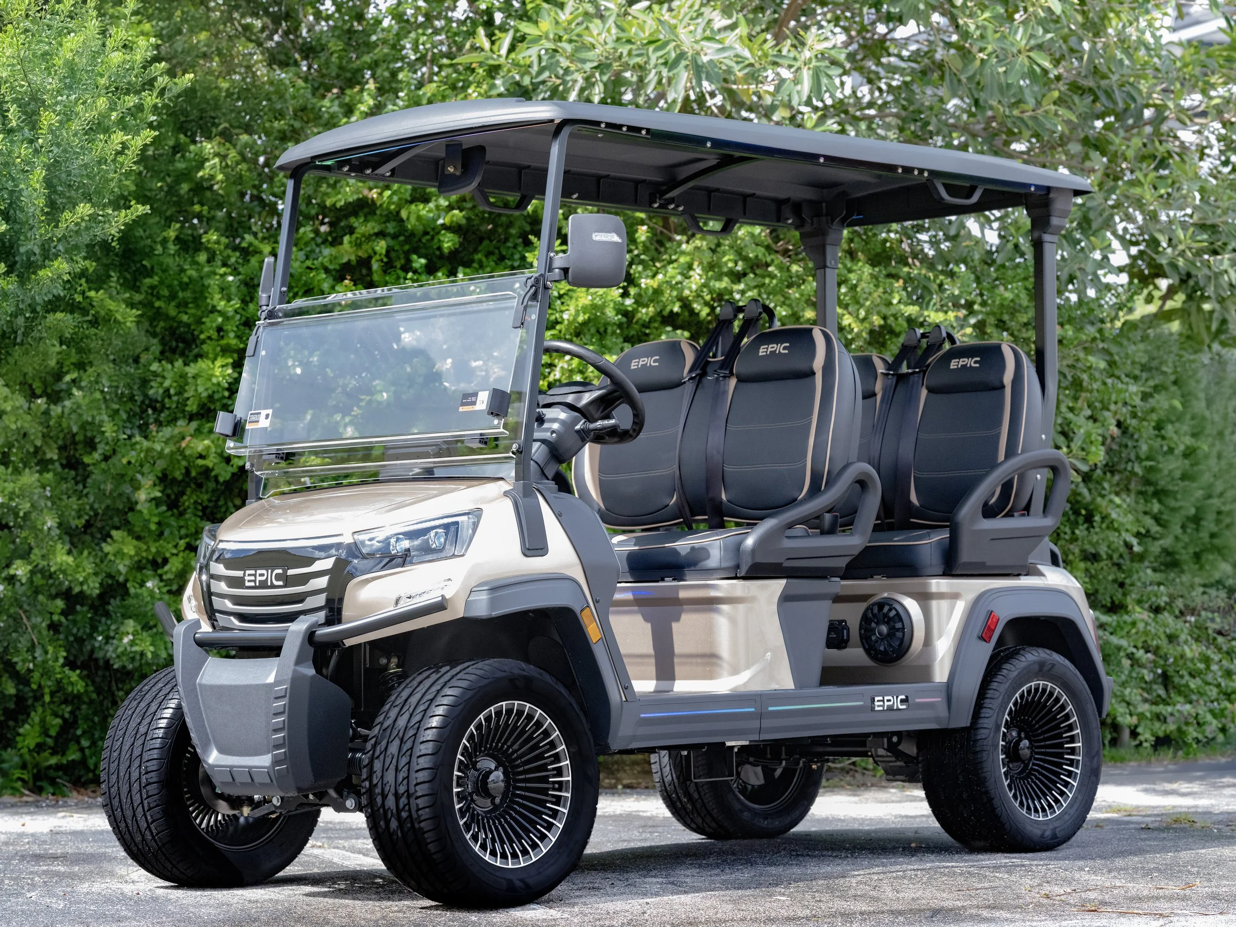 EPIC_E40FX_Golf Cart(2).jpg