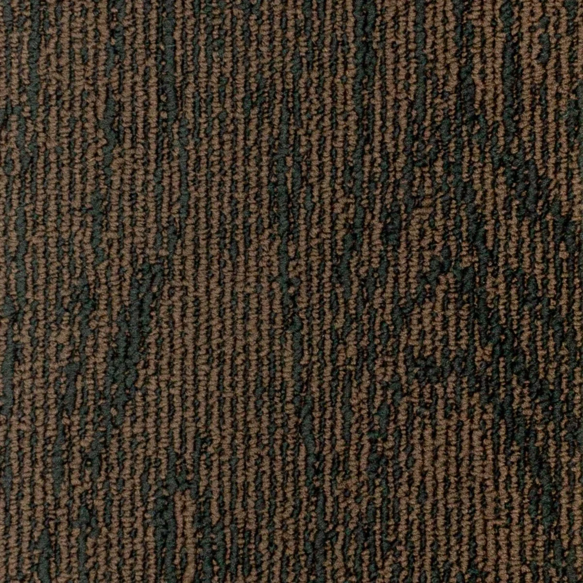 OAK - 59434.jpg