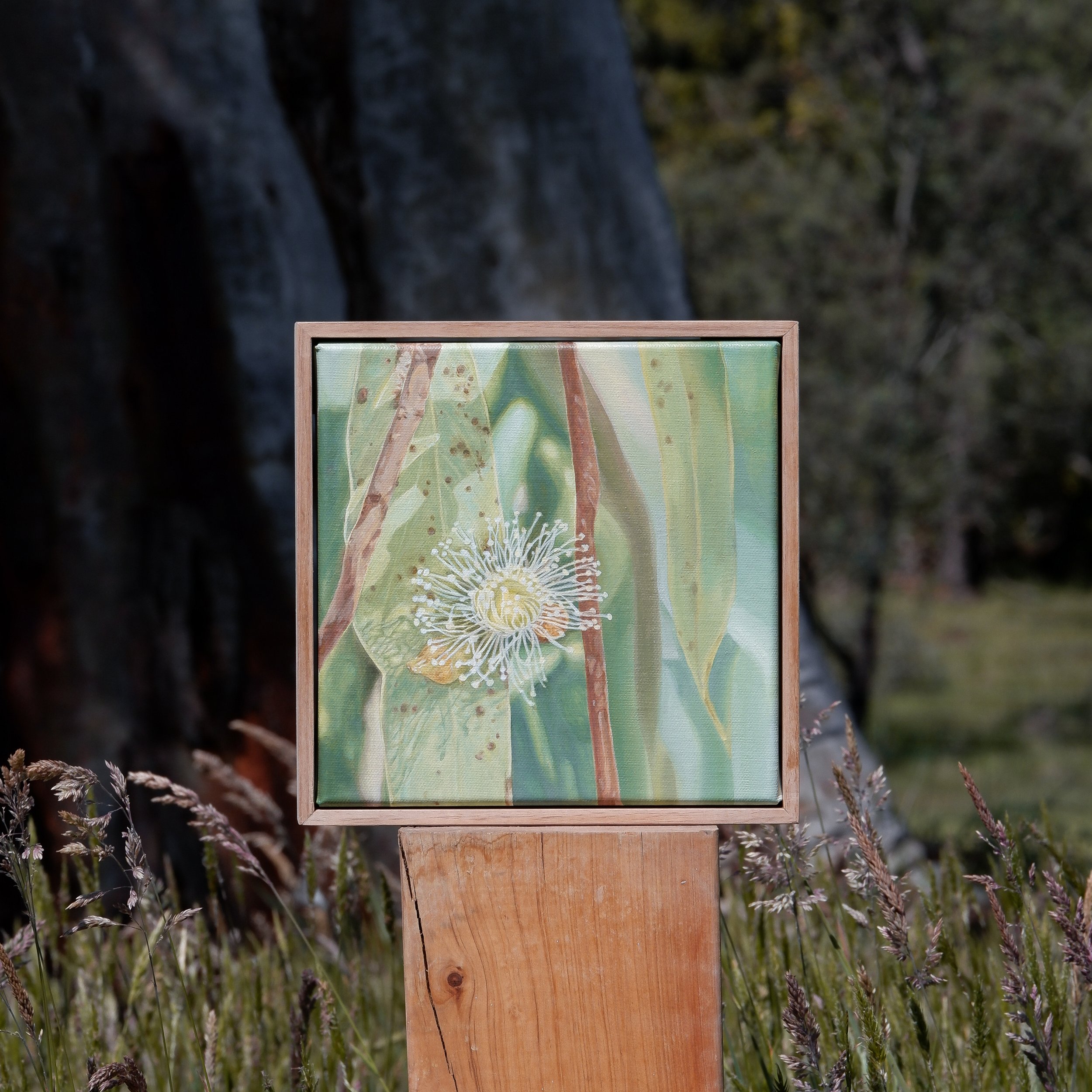 Backyard Blossoms - Original Artwork