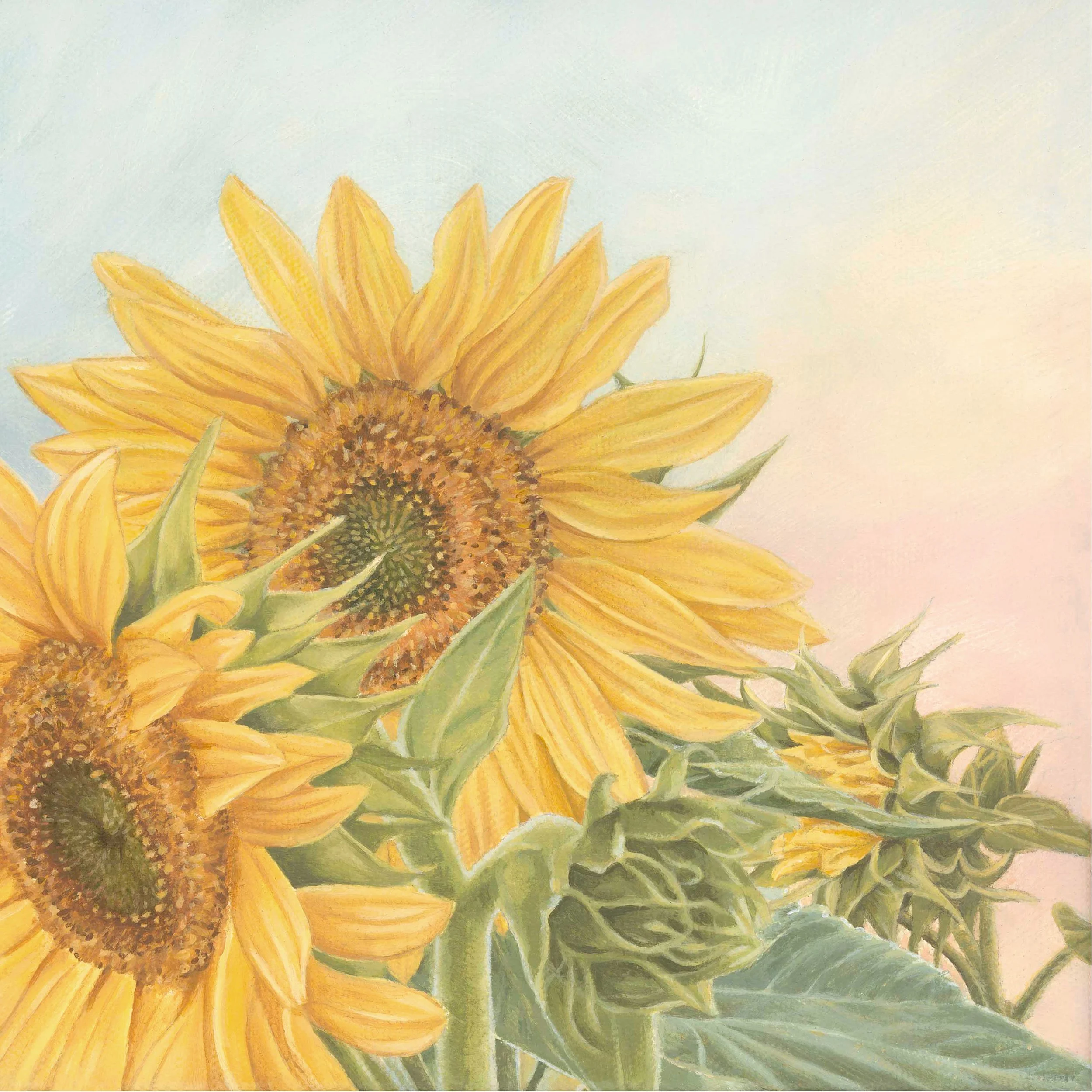 AmongtheBees_FineArtPrint.jpg