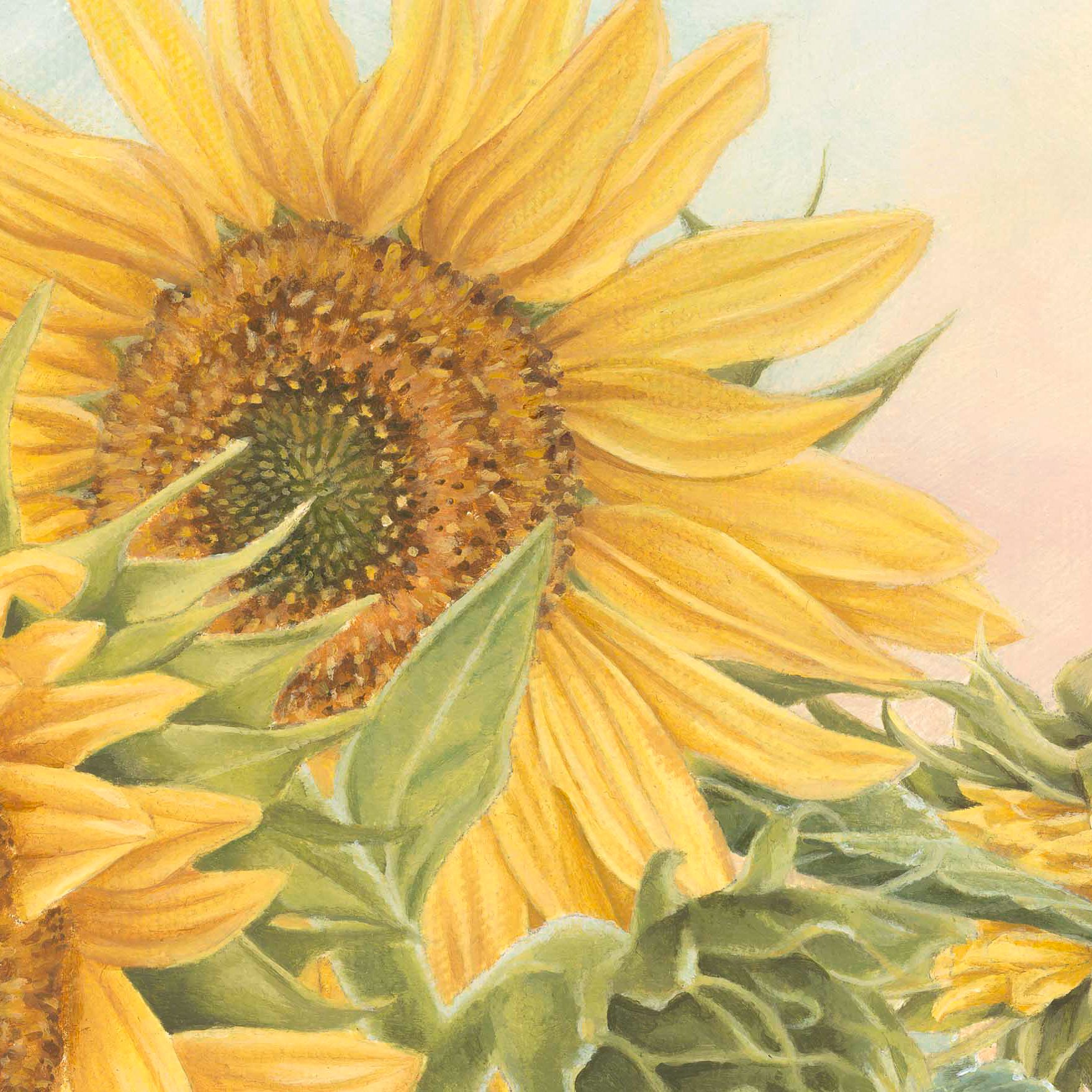 Sunflowers_WebFile.jpg