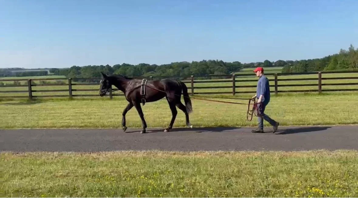 WhatsApp Image 2025-09-29 at 15.21.04_a94d4264.jpg