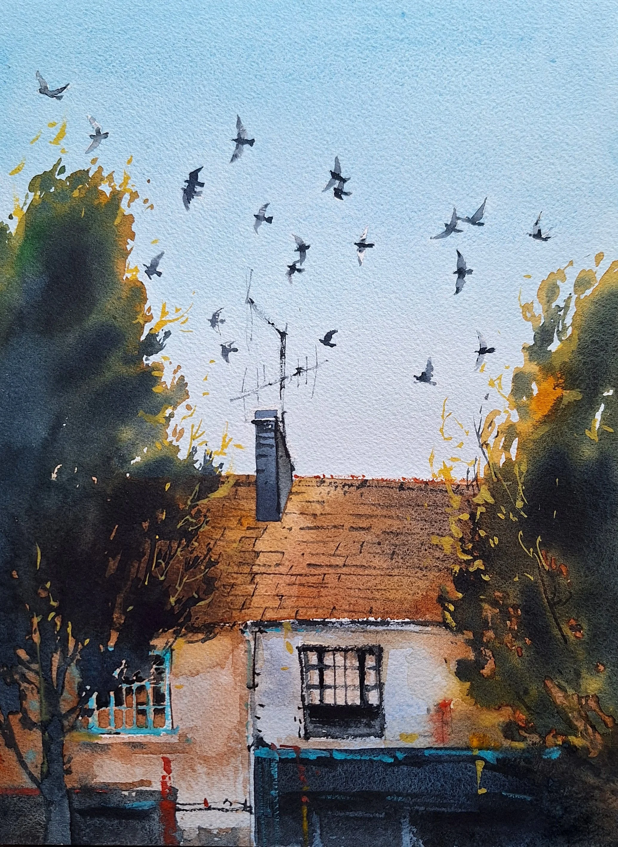 Tetiana Milshyna, Midday Pigeons (Ballincollig), watercolour on paper