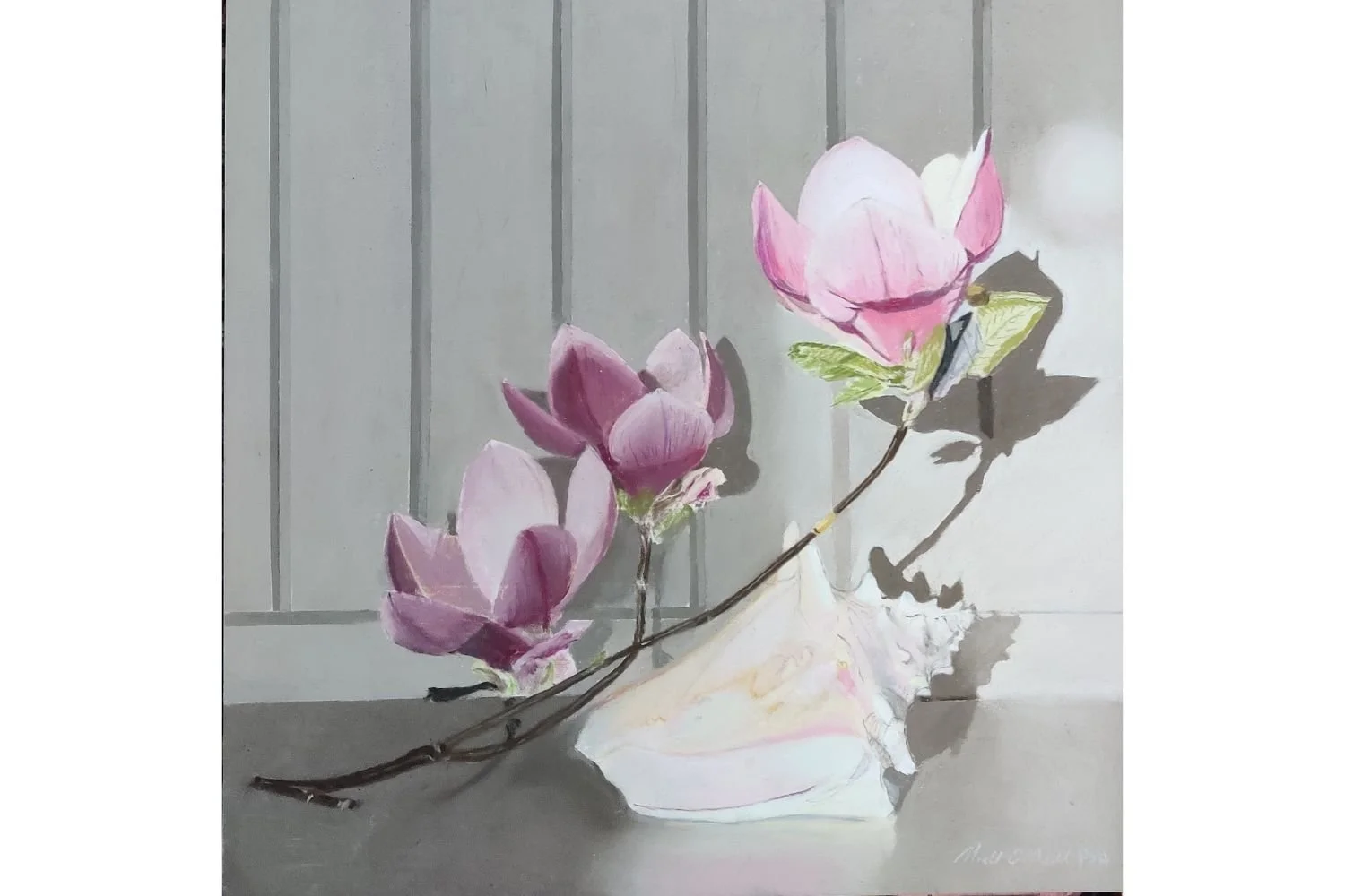Niall O'Neill - Spotlit Magnolias