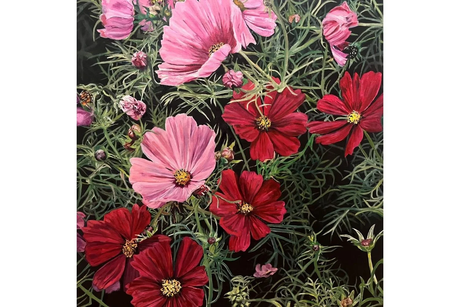 Niamh Rigby - Cosmos