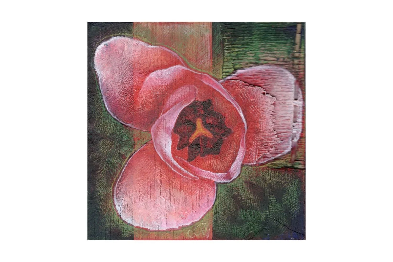 Claire O'Donovan - Tulip