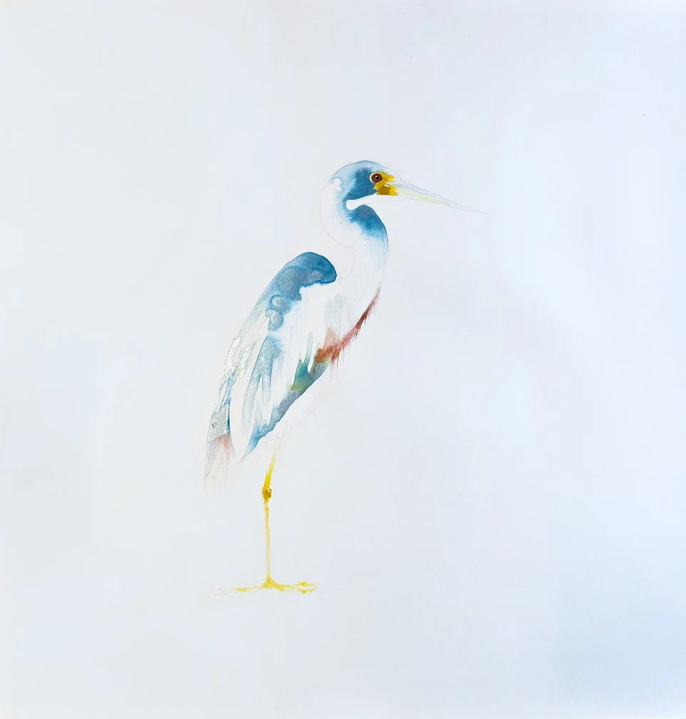 Eilbhe Donovan, "Tri Colour Heron," Ink & pencil on cotton paper