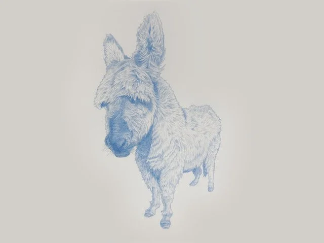 Joe Bowser, "Jenny - A.K.A Margie," blue pencil on paper