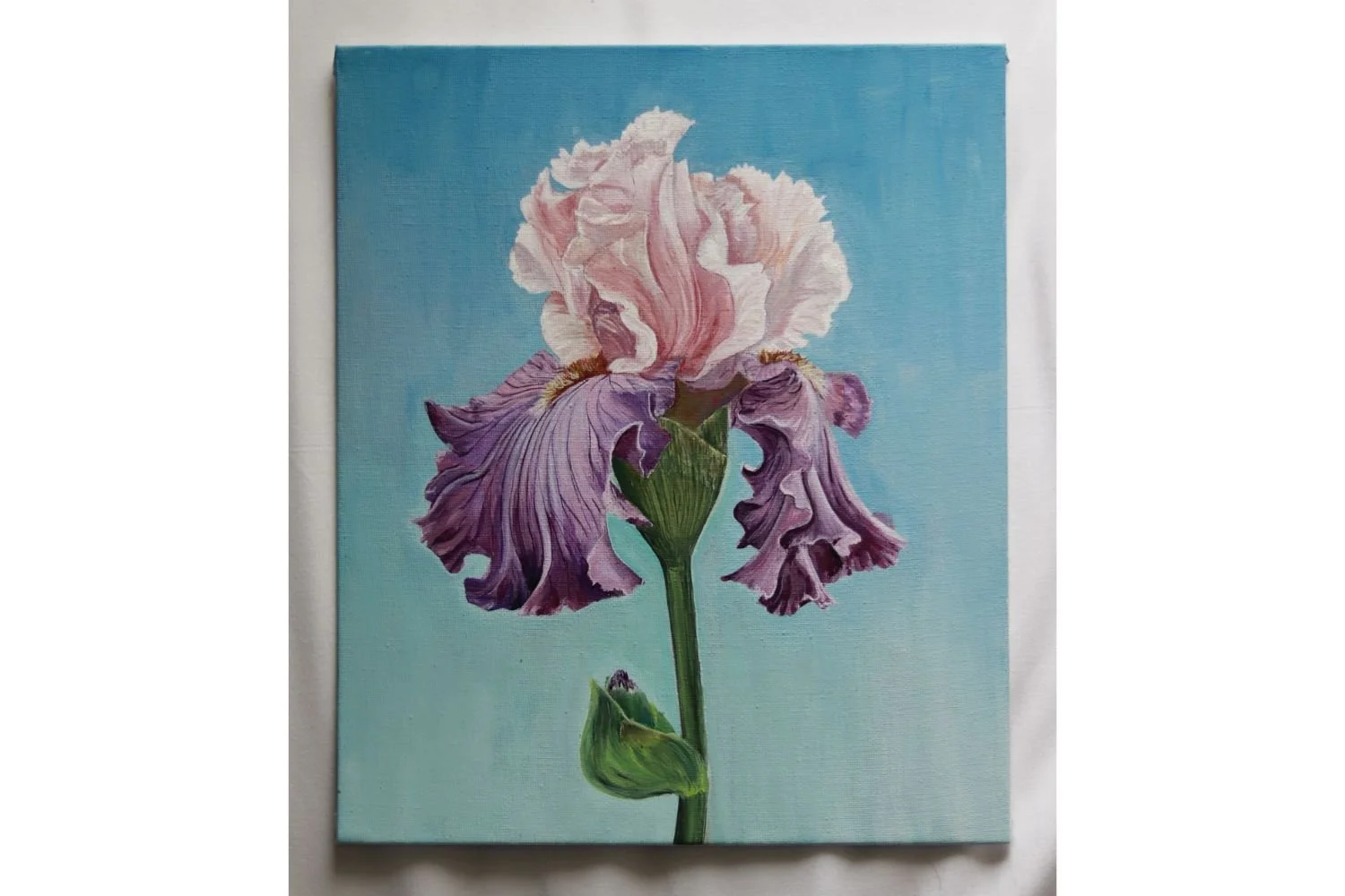 Maryna Chuhai - Iris
