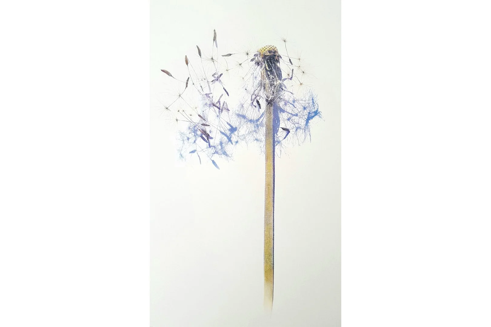 Inge Van Doorslaer - Endless Potential