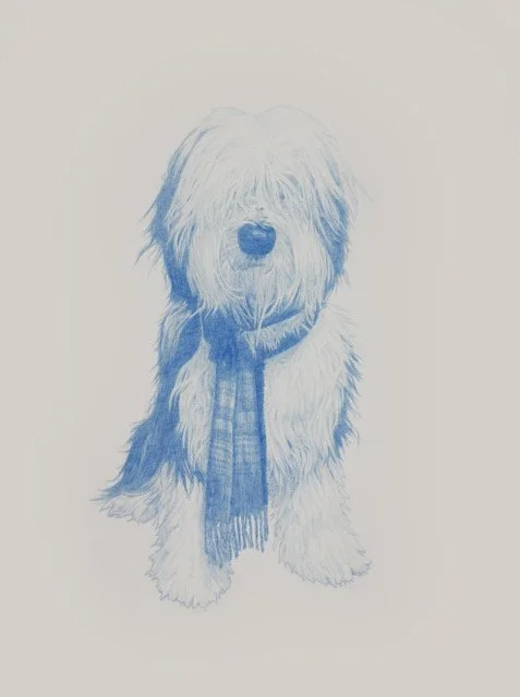 Joe Bowser, "Rufus," blue pencil on paper