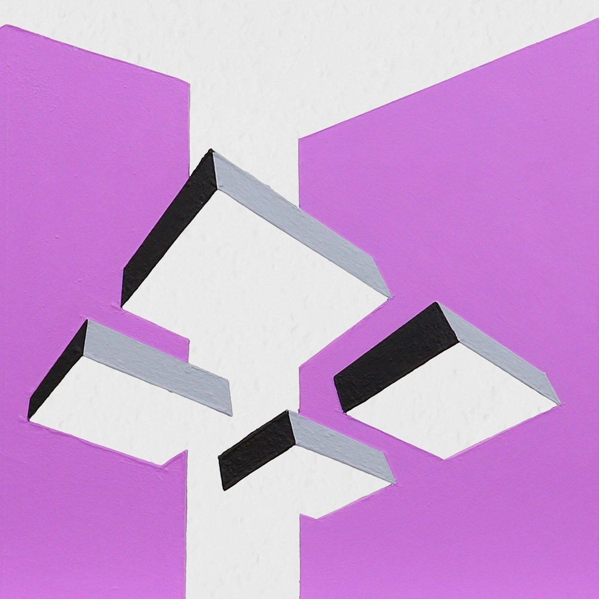 Dynamic Apex_1X4A7539_2.jpg