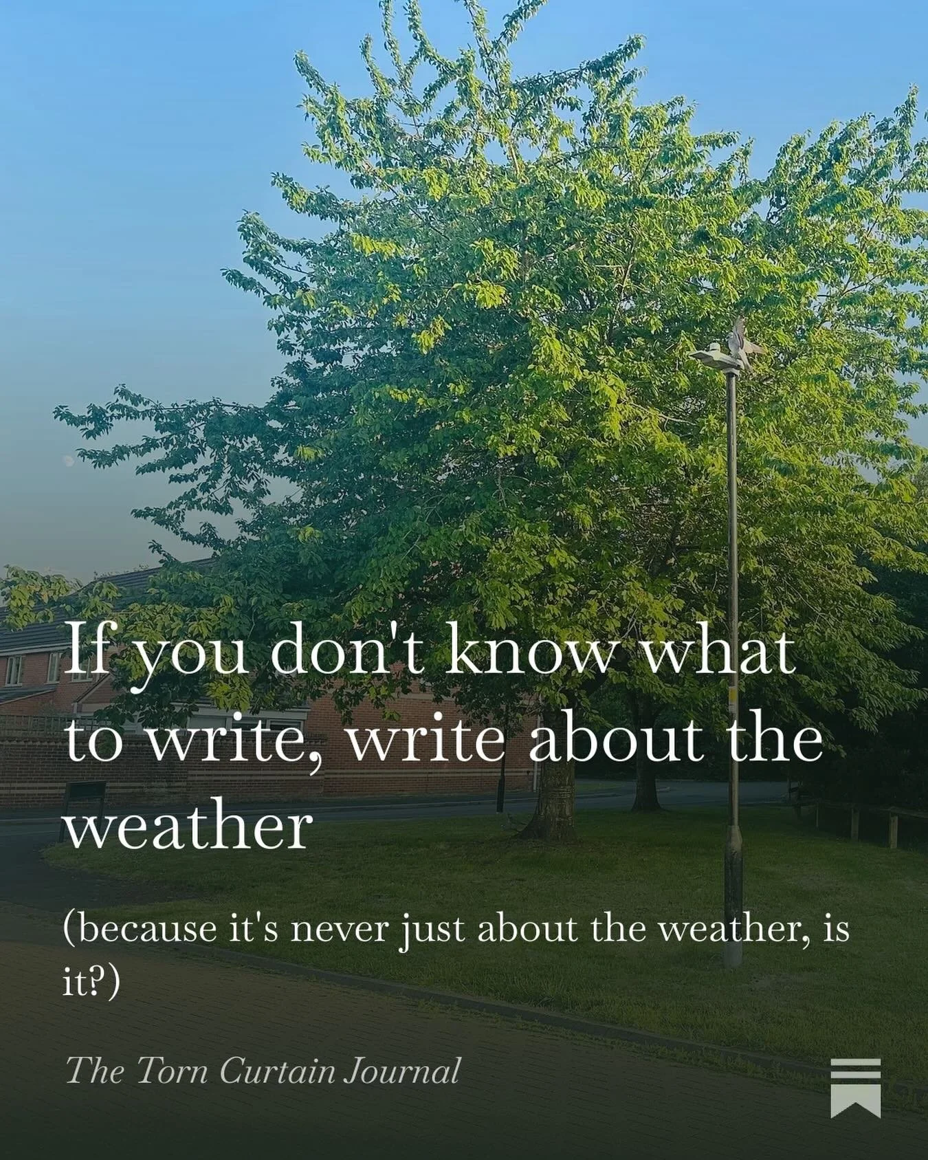 Words by @rebeccarockerwrites written in a heatwave.

https://torncurtainjournal.substack.com/p/if-you-dont-know-what-to-write-write