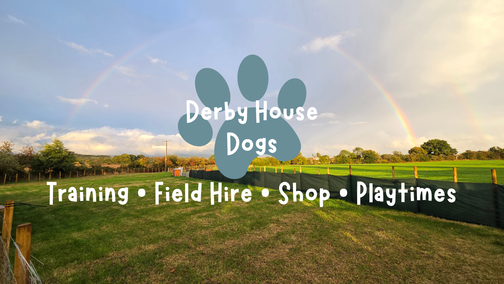 What’s New at Derby House Dogs