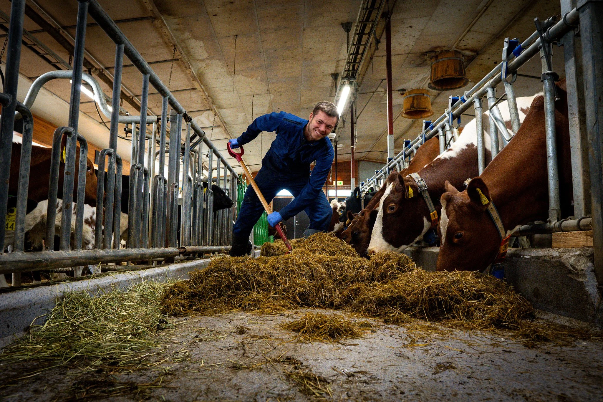 Digitalt informasjonsmøte om &nbsp;2+2-løp og Vg3 Landbruk i Troms