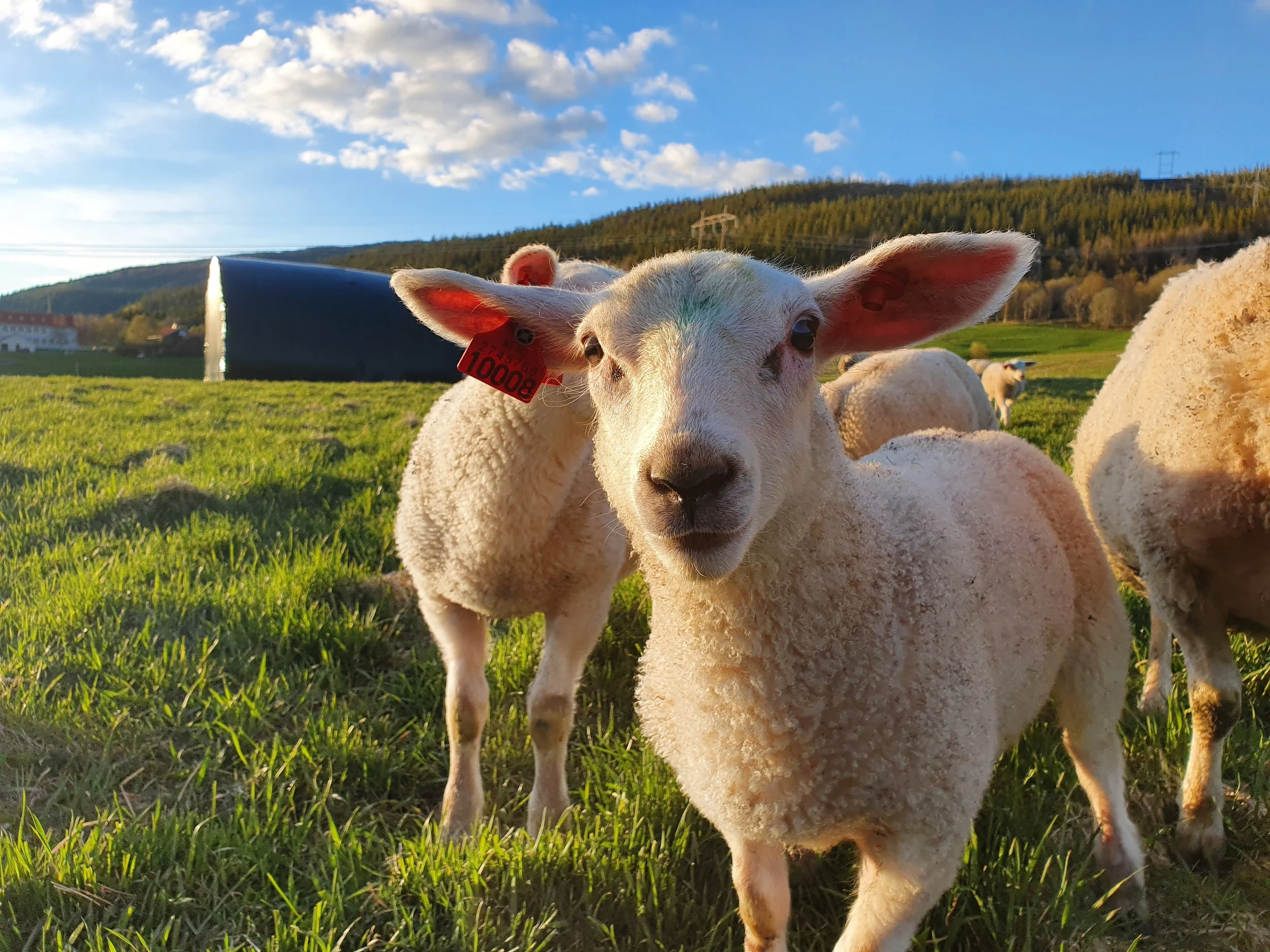 Fagdag Bondens Nettverk i Troms