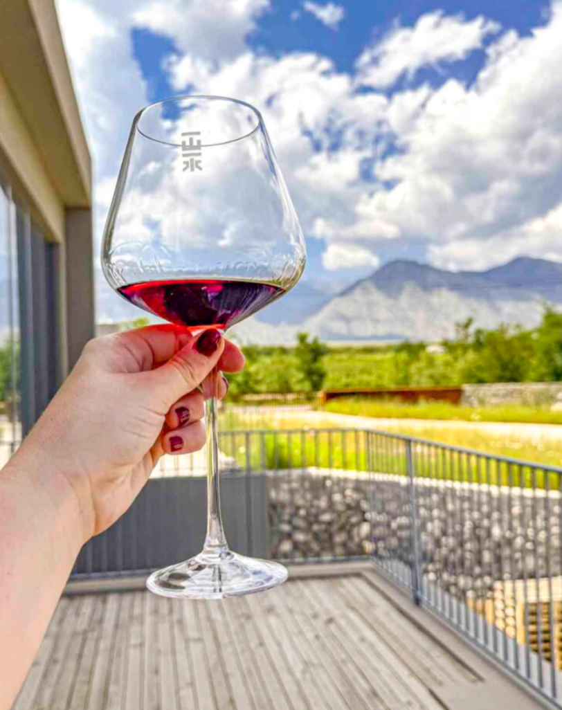 visiting wineries in Ningxia, China