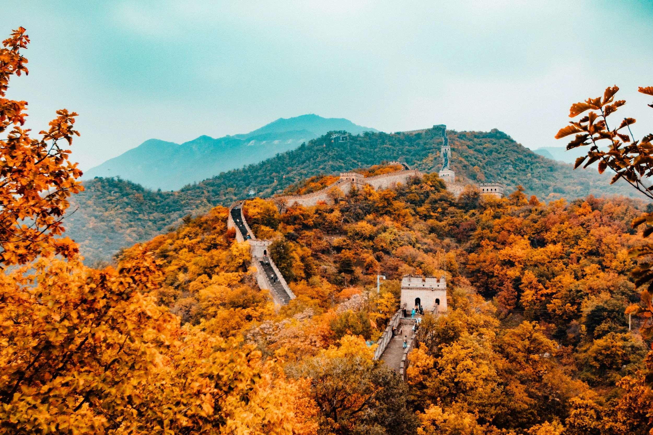 The Great Wall of China winding through a forested mountain landscape during autumn with colorful foliage.