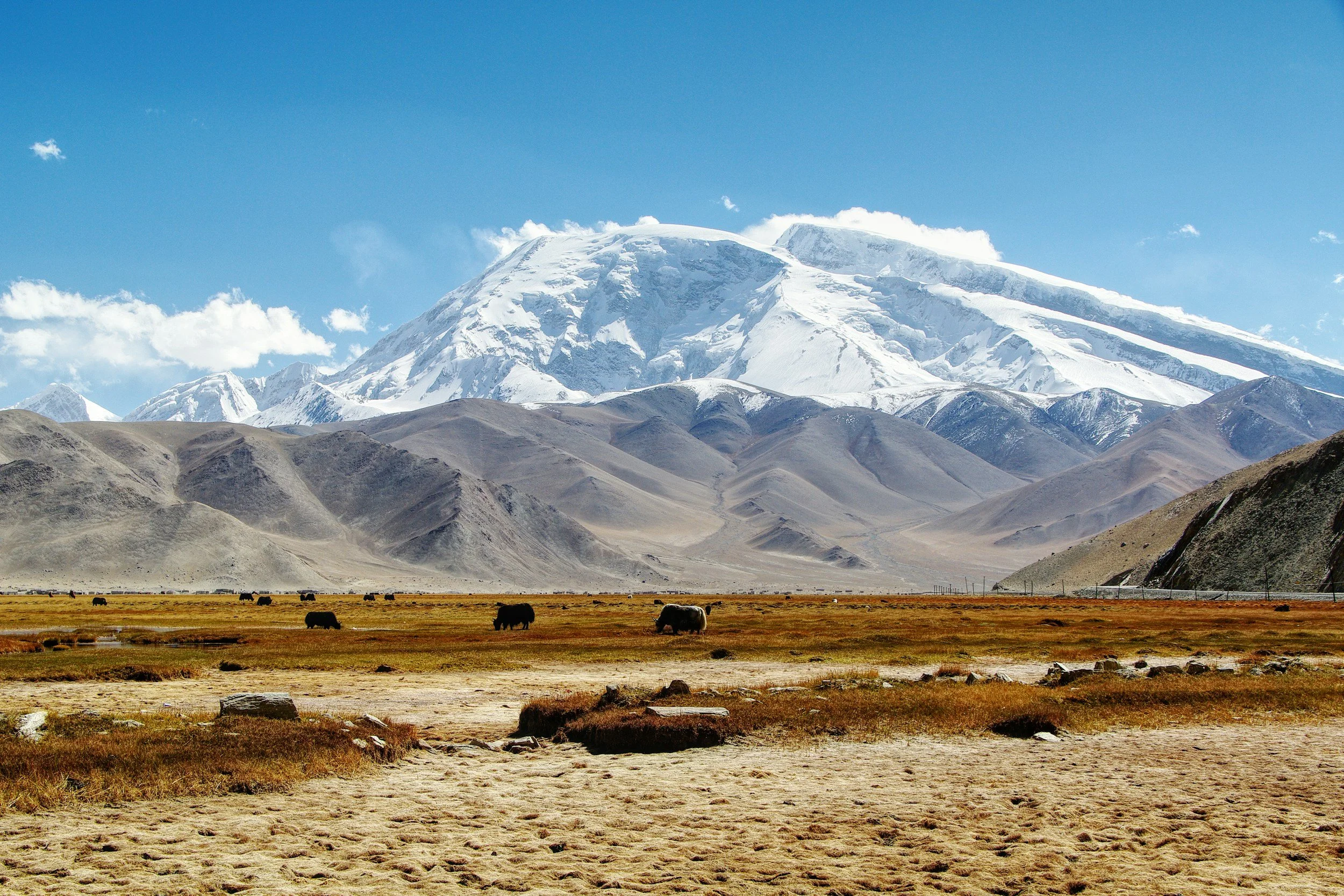 Classic Xinjiang Guide: Must-See Spots &amp; Travel Tips for the Silk Road