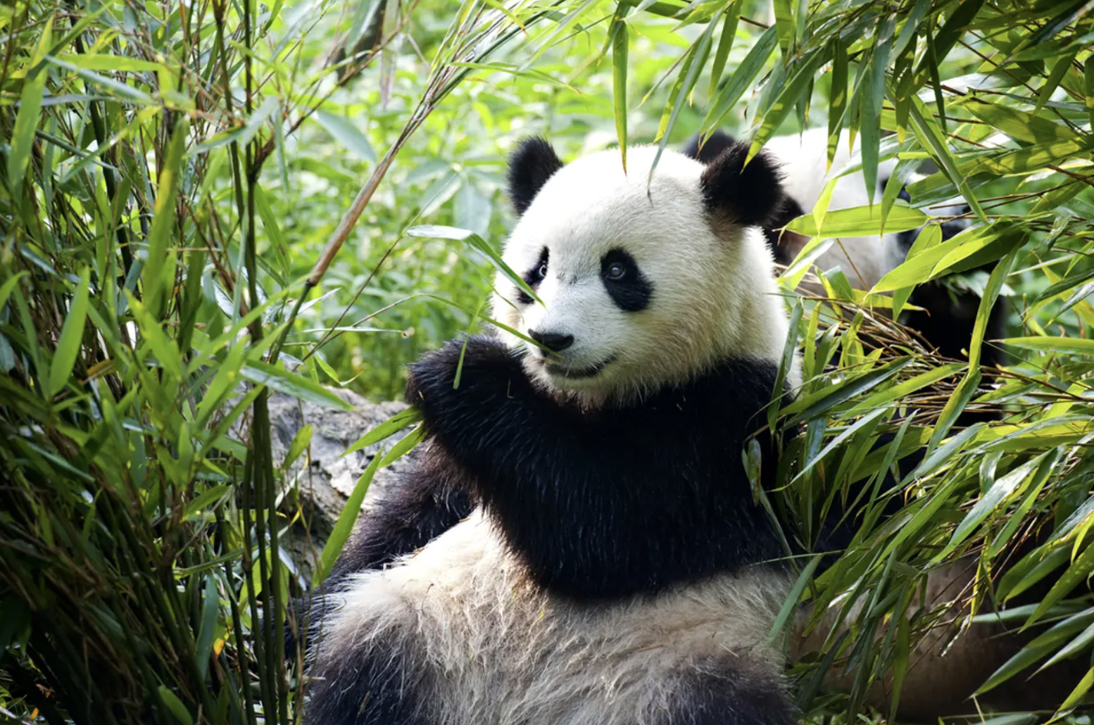China Travel Guide