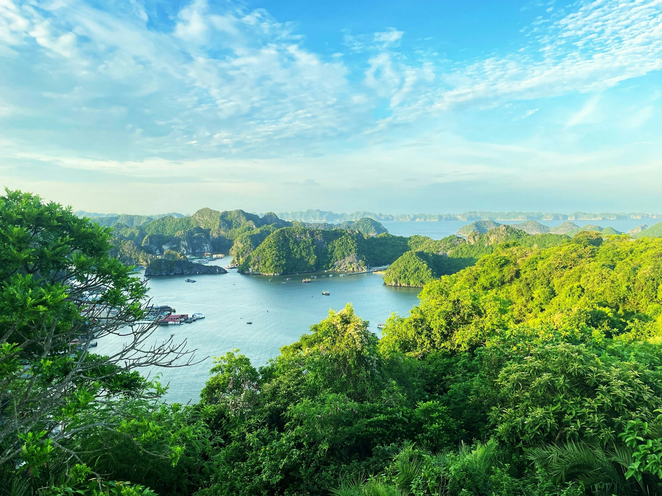 halong bay cruises, lan ha bay cruises