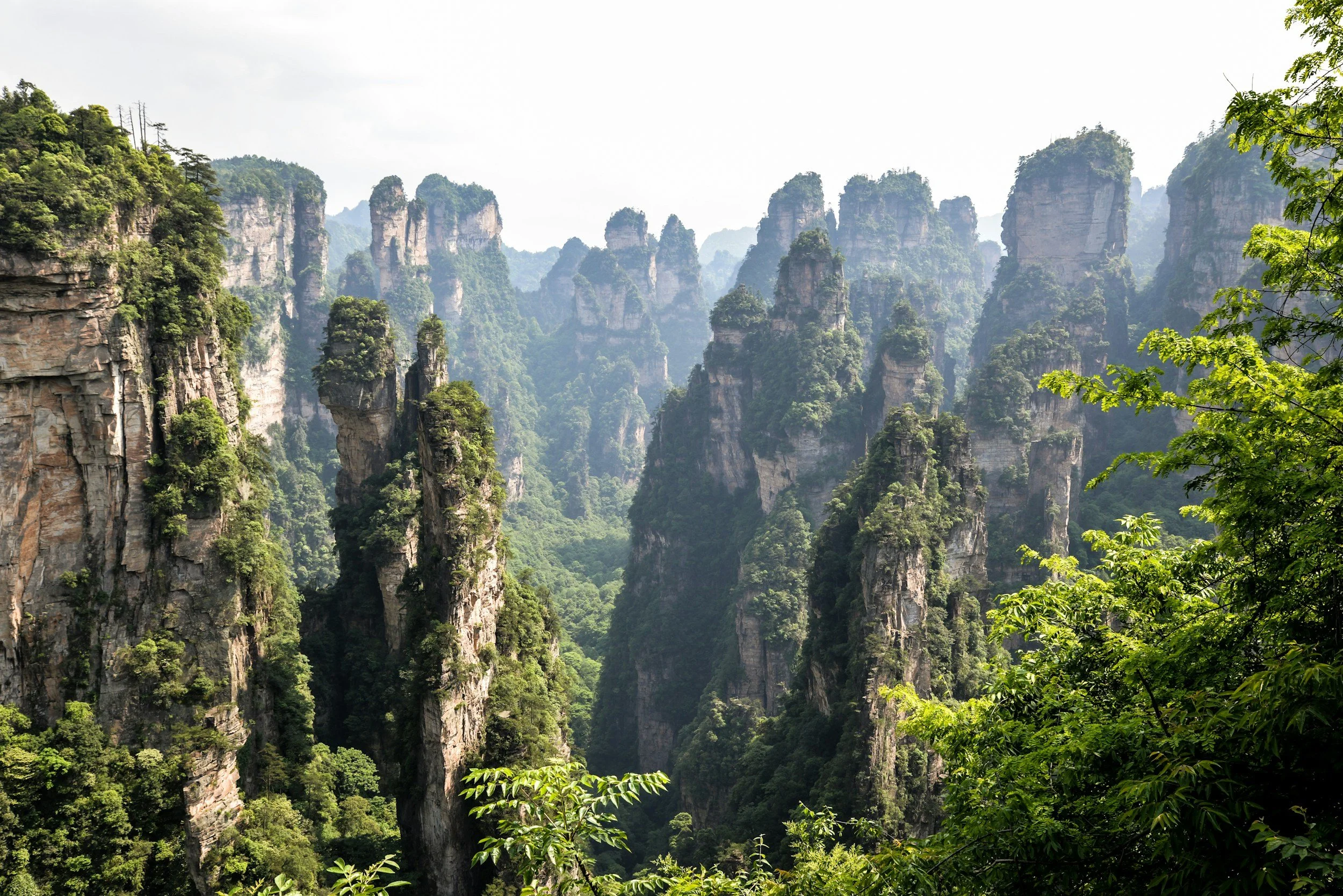 How to Beat the Crowds in Zhangjiajie: Why We Took the "Reverse" Routes (And You Should Too)