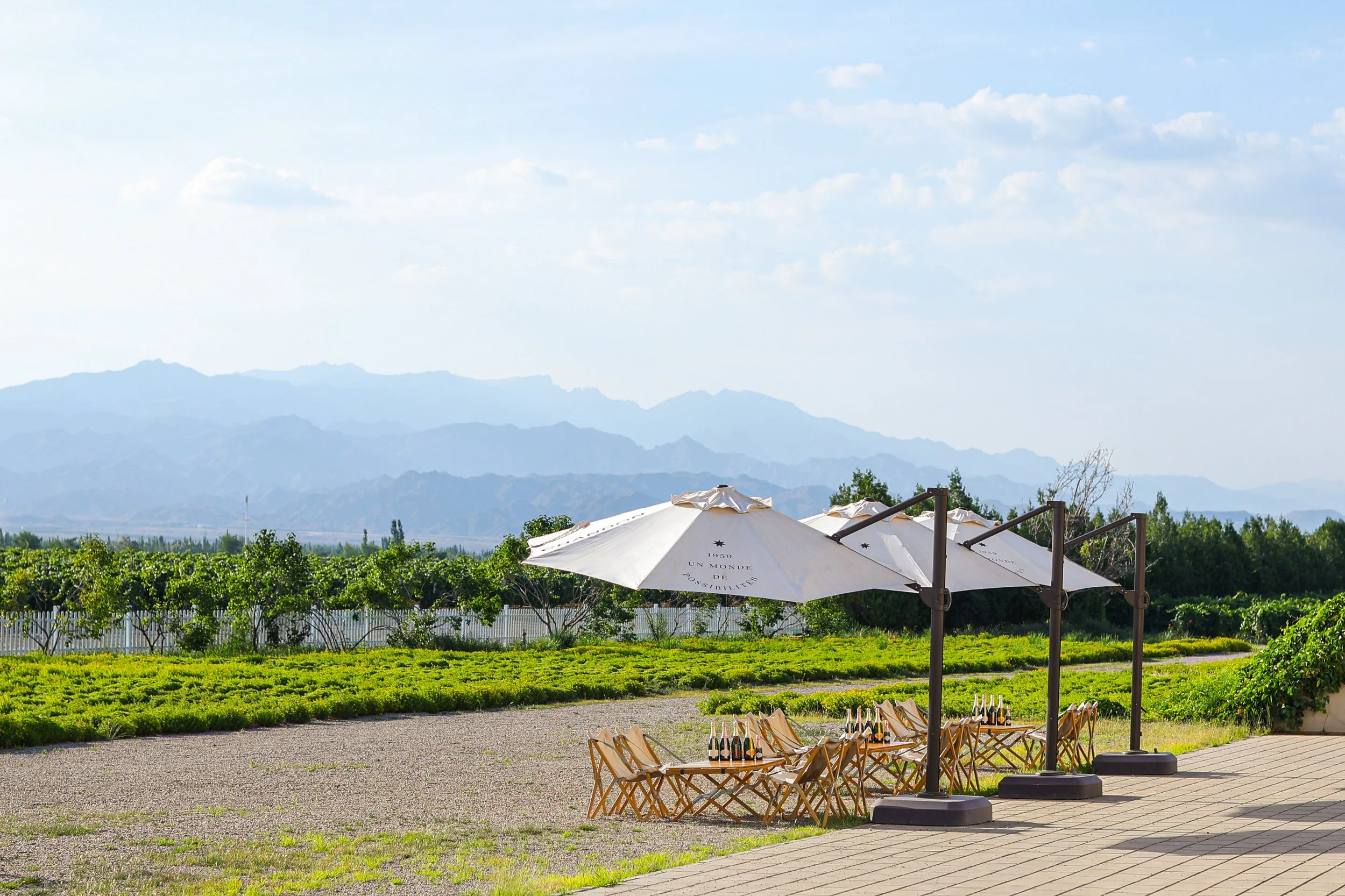 Beyond Bordeaux: The Insider’s Guide to Ningxia, China's Luxury Wine Frontier