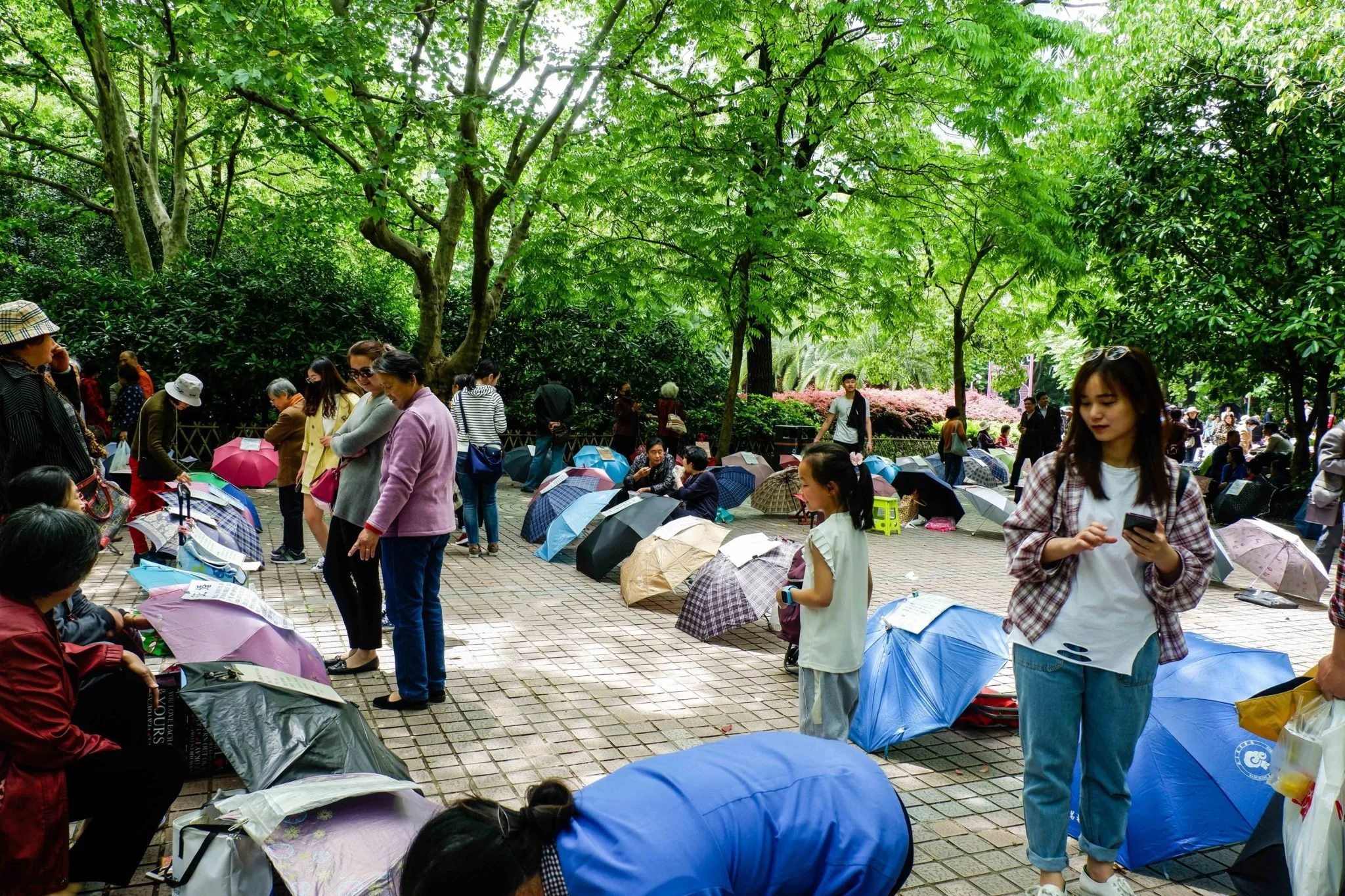 people's park marriage market