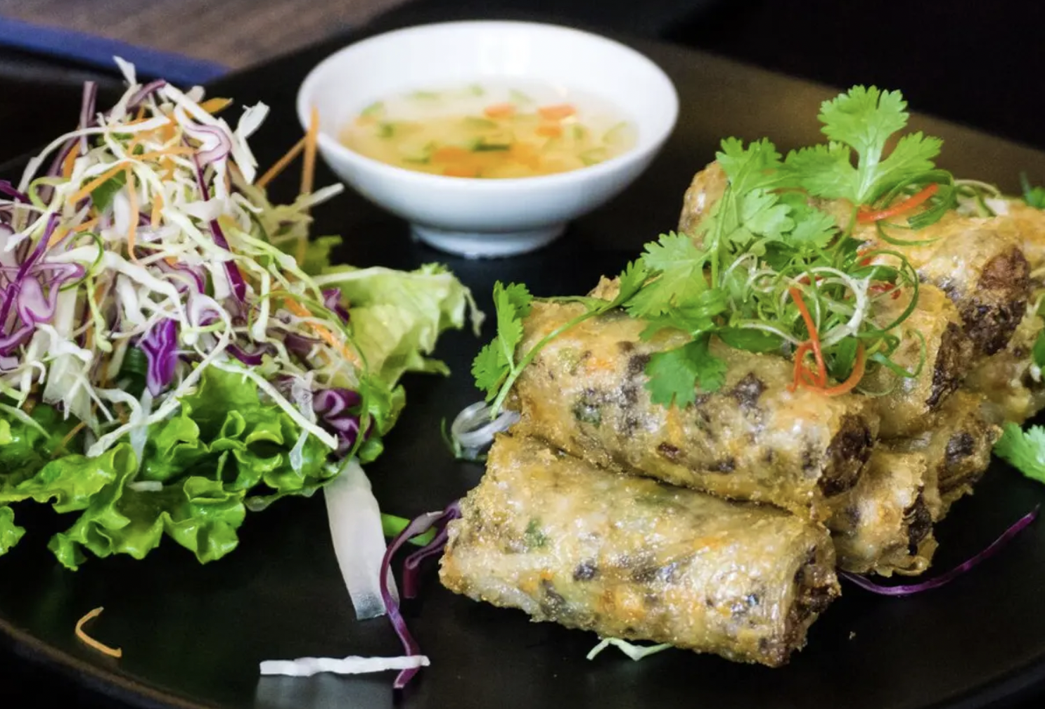 north to south vietnam tour spring rolls