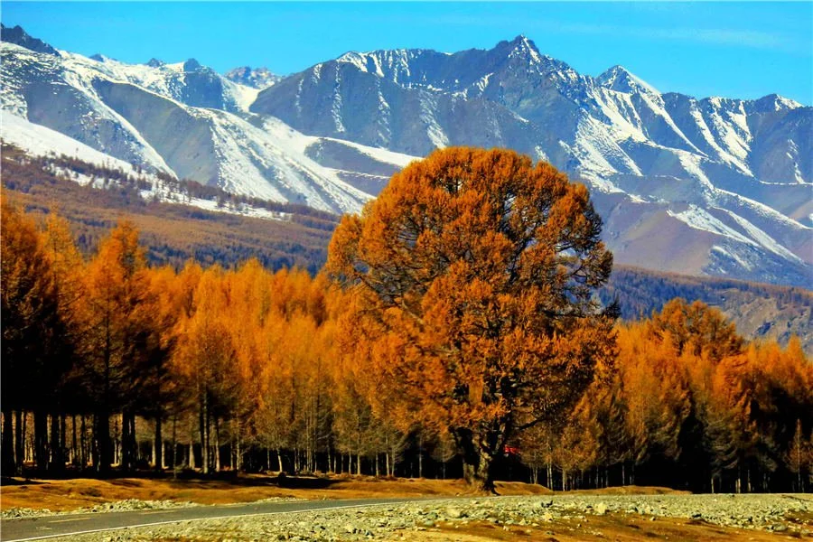 North Xinjiang best places to visit china in autumn