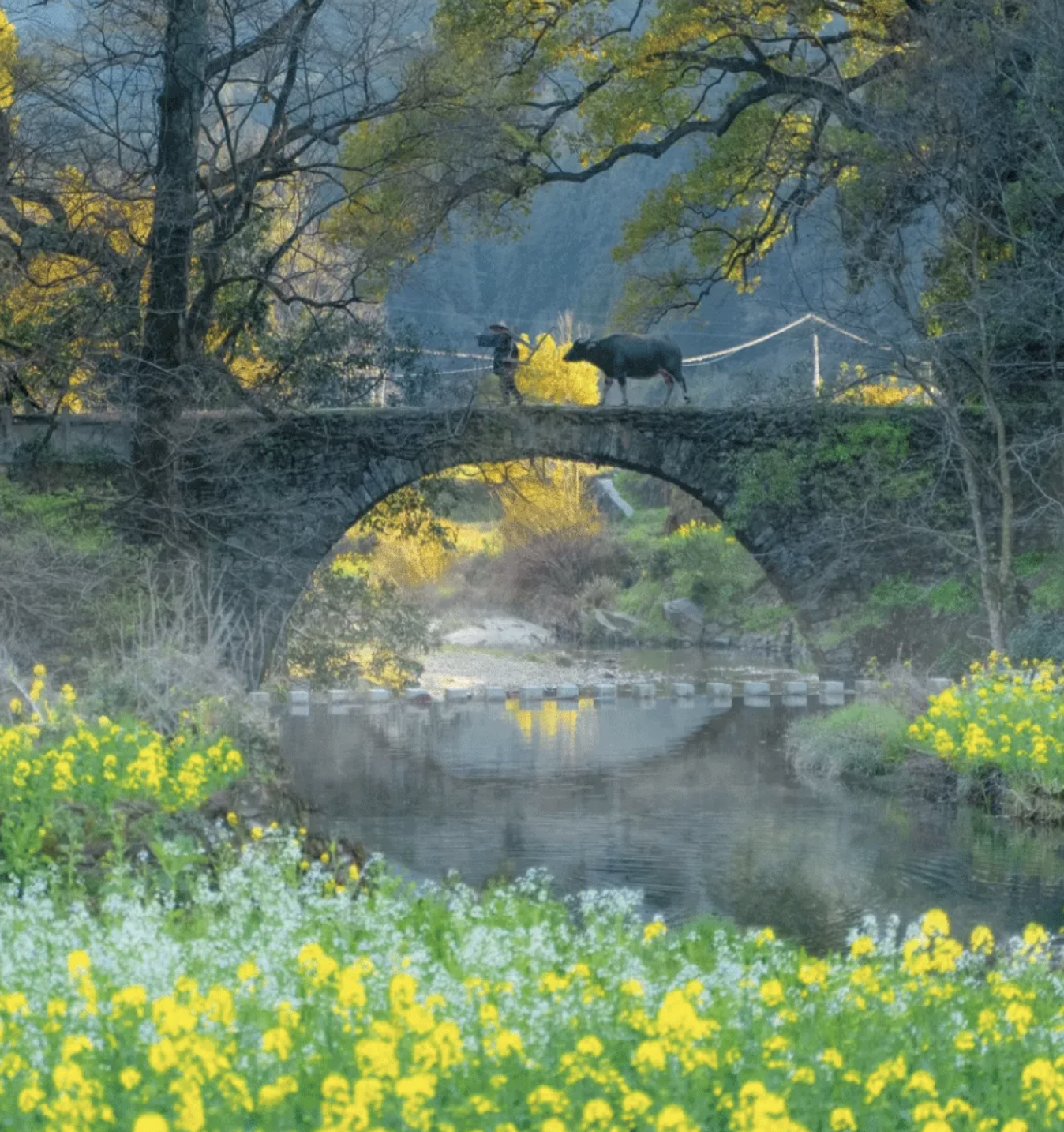 When is the Best Time to Visit China? A Seasonal Guide