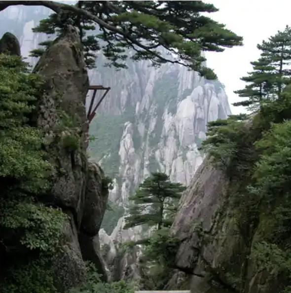 A mountain landscape with large rocky cliffs and green trees, including pine trees, in a misty atmosphere.