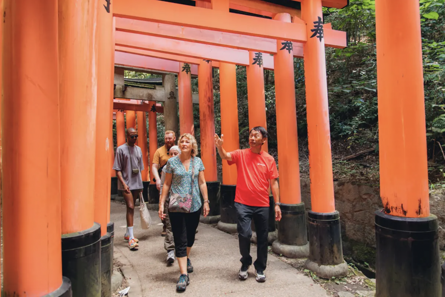 premium japan tour kyoto temples