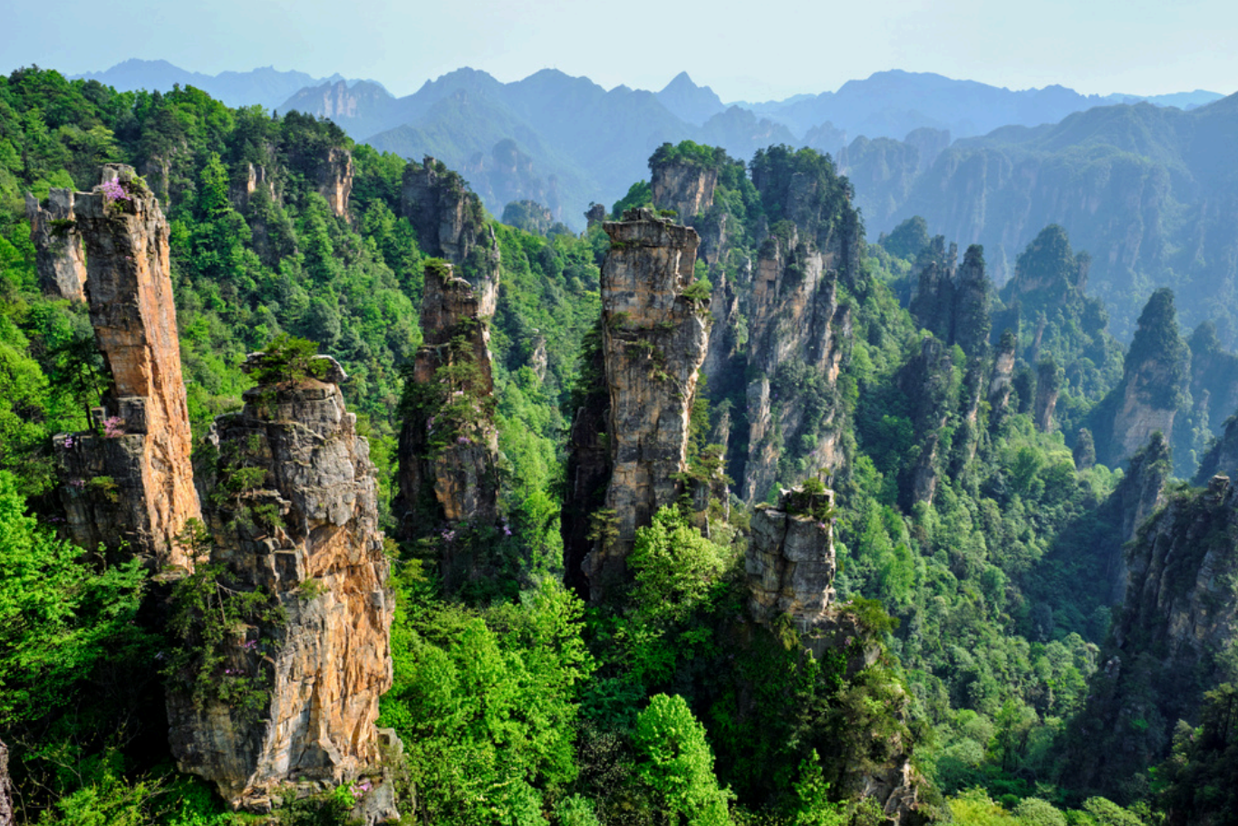 definitive guide to zhangjiajie